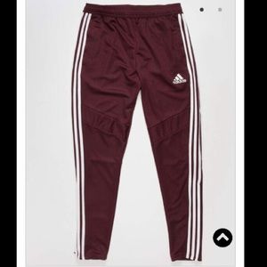 Adidas Maroon tiro 19 training pants